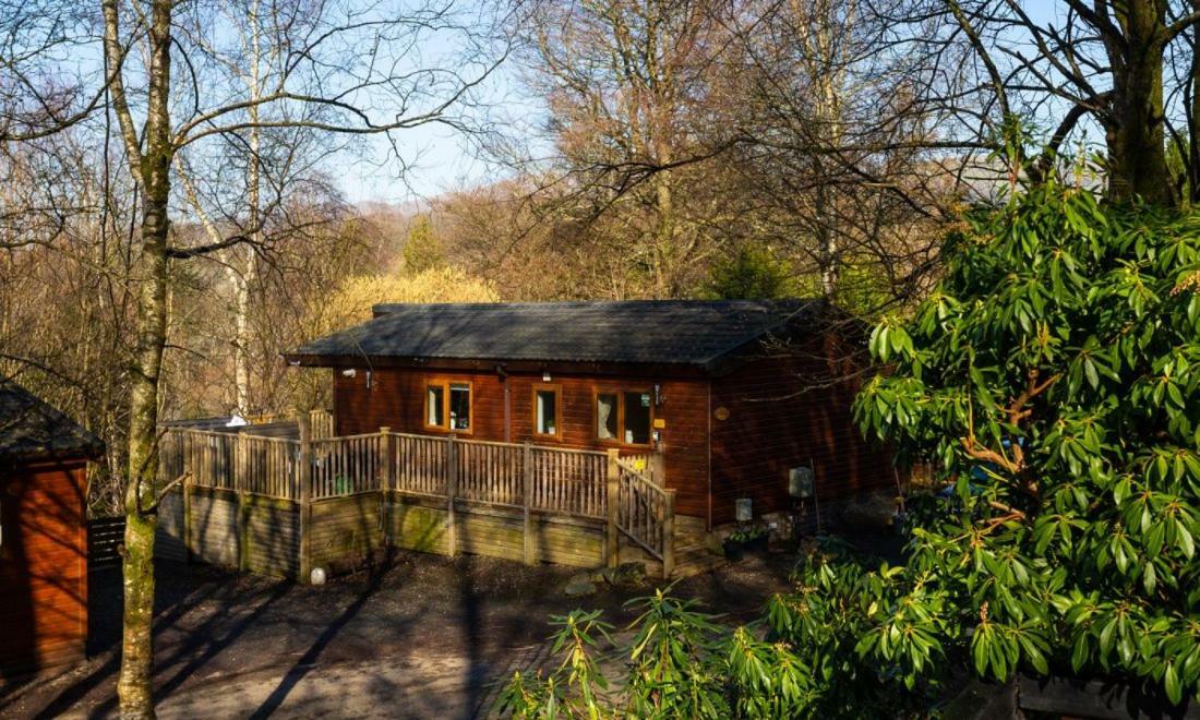 Owls House, White Cross Bay, Ambleside, Windermere Exterior photo