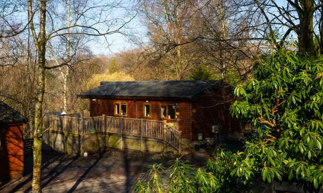 Owls House, White Cross Bay, Ambleside, Windermere Villa Exterior photo